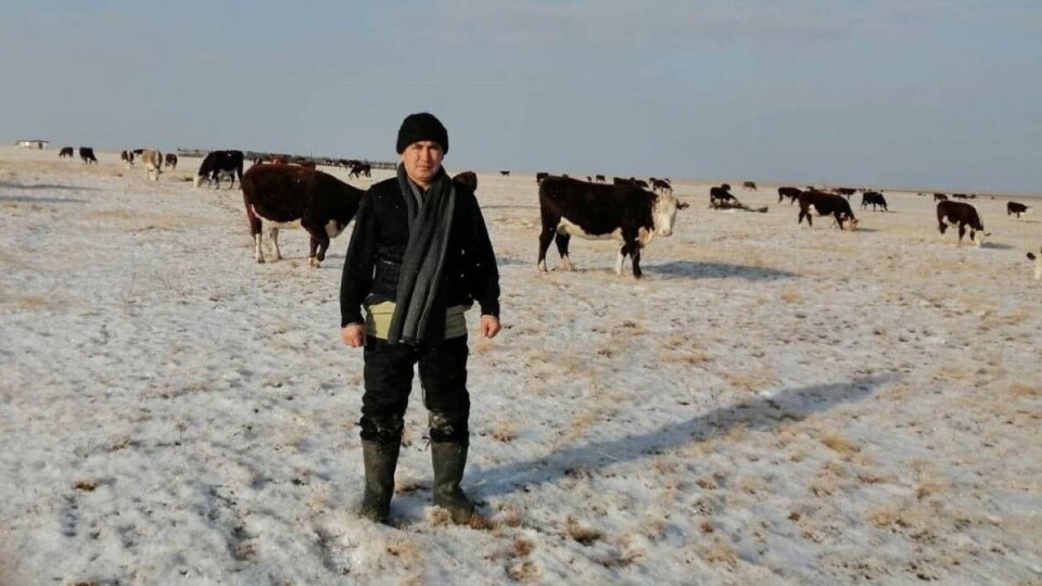 Как безработный павлодарец создал успешное хозяйство
