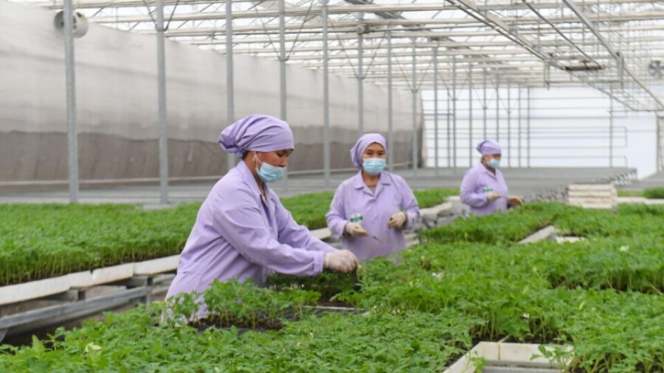 Фото предоставлено Региональной службой коммуникаций Туркестанской области