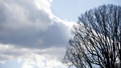 Почему ИИ не может дать прогноз погоды так же качественно, как человек
