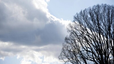 Почему ИИ не может дать прогноз погоды так же качественно, как человек