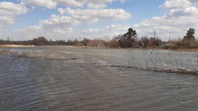 "Объединиться в трудную минуту". Почему помощь бизнеса важна в борьбе с паводками: опыт компании RealBet