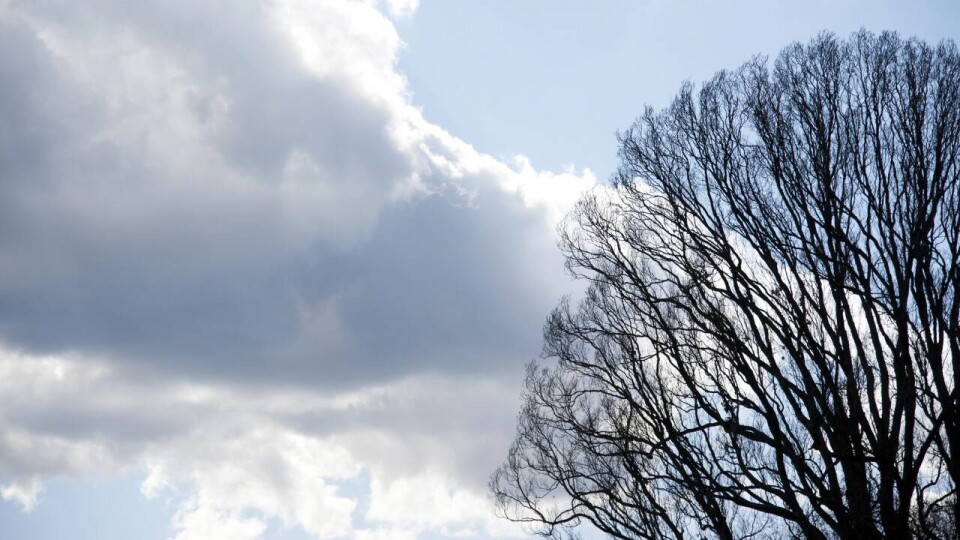 depositphotos.com