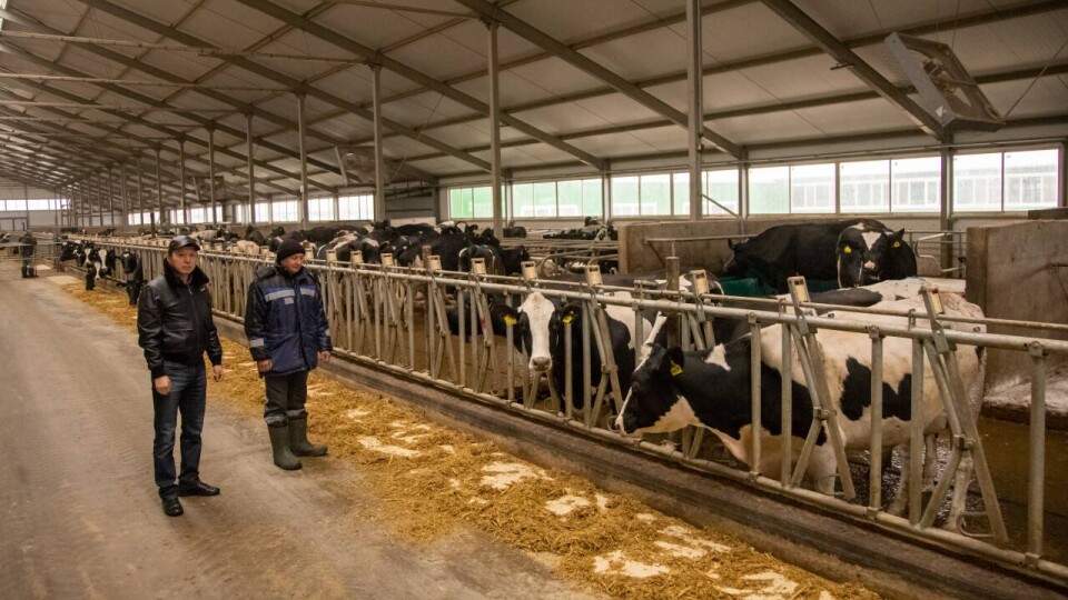 Один из партнёров ТОО "Agro-Trade PV" – Куаныш Темиргалин (слева) – рассказал о становлении фермерского бизнеса / Фото Вадима Белошенко