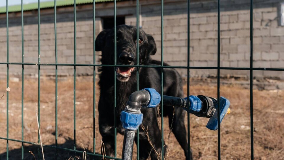 Евразийский банк провёл первый конкурс социальных проектов среди сотрудников. Какие инициативы получили поддержку
