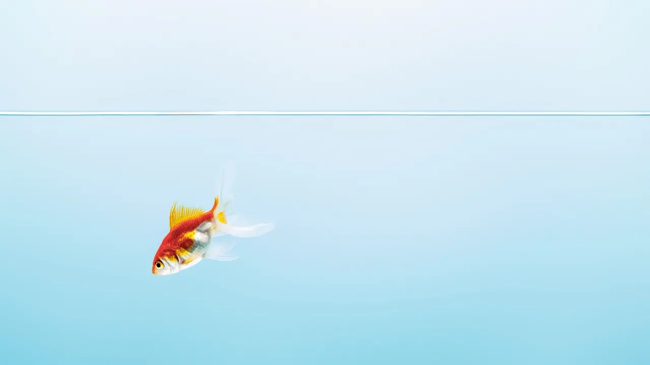 Фото: depositphotos.com