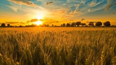 На земельной комиссии предложили лишать эмигрантов земельных территорий в Казахстане