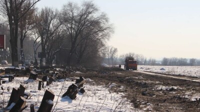 Суд в Алматы отклонил иск акимата по факту вырубки 11 тысяч деревьев для строительства ТРЦ Aport Мall East