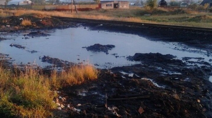 Экологи зафиксировали в Павлодаре загрязнение земли нефтеотходами. Заведено уголовное дело