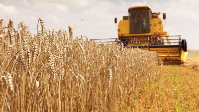 Почему фермеры до сих пор не получают субсидии на удобрения и пестициды