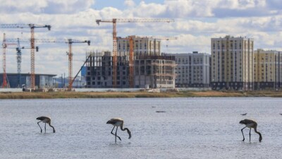 Возле Большого Талдыколя в Астане устроили свалку строительного мусора. Акимат ищет виновных