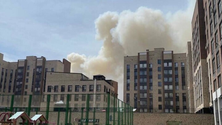Тушение горящего сухостоя в Астане осложняется сильным ветром