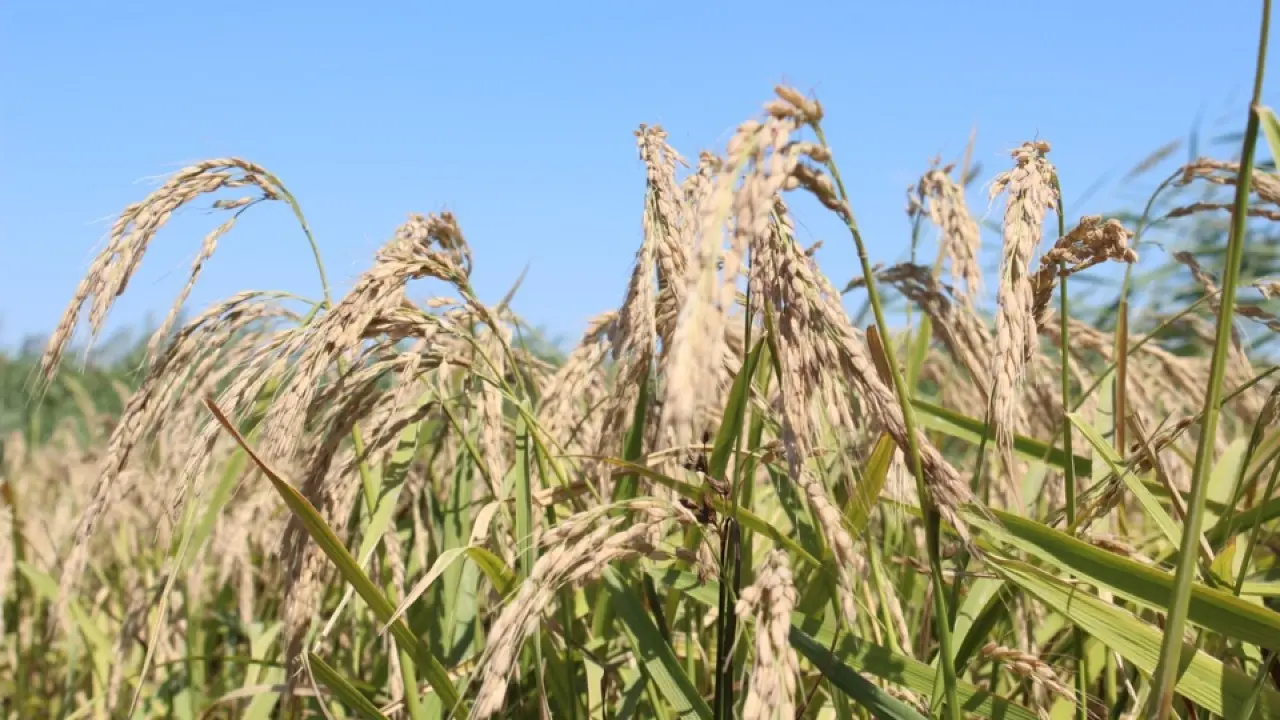 Фото пресс-службы Министерства водных ресурсов и ирригации РК