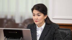 "Усилится расслоение на богатых и бедных". Гиният ответила на предложение ввести накопительную систему ОСМС
