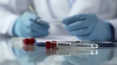 Первый случай заражения лихорадкой Эбола подтвердили в Нигерии