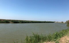Минэкологии: Предприятия загрязняют воду в реке Жайык только в Актюбинской области