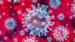 В Казахстане за сутки зарегистрировали 342 случая заражения Covid-19