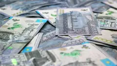 Субсидии на 103 млн тенге растратили в личных целях в Туркестанской области
