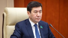 Кошанов о проведении референдума: Историческое решение, продиктованное велением времени
