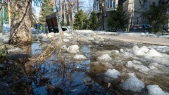 Дожди и потепление до 24 градусов обещают синоптики на юге Казахстана