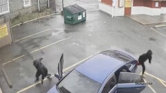 По школьникам открыли стрельбу в Филадельфии: пострадали восемь подростков