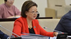 Сенатор сравнила Казахстан со странами Африки по черте бедности