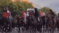 Участников скандального кокпара в Каскелене арестовали на 10 суток