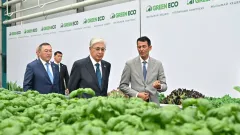 Токаев посетил тепличный комплекс по выращиванию зелёных культур в Алматинской области