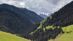 Незаконная выдача участков на Бутаковке: управление земельных отношений Алматы подало иск об отмене госактов