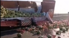25 тонн арбузов рассыпались на трассе в Жамбылской области из-за ДТП