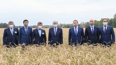 Токаев: Правительство ставит вопрос о введении экспортной пошлины на зерно, но сейчас делать это преждевременно