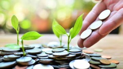 Сенатор: Трансферты из Нацфонда направляют не на развитие, а на проедание