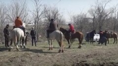 В Шымкенте 400 человек собрались на кокпар, посвящённый открытию овощного рынка