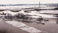 Пункт пропуска "Желкуар" на границе с РФ временно закрыли из-за паводка в Костанайской области