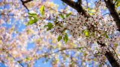 Потепление до +32 градусов придёт на выходных в Казахстан