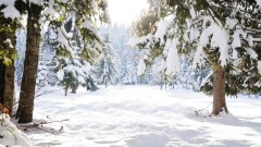 Синоптики обещают снег на выходные на большей части Казахстана