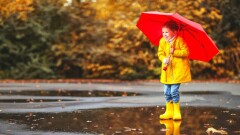 Переменчивую погоду прогнозируют синоптики на выходные