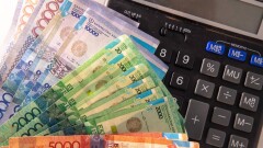 Депутат предложила продлить период выплаты пособия по уходу за ребёнком с ментальными нарушениями