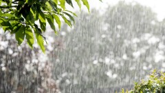 Последствия непогоды в Жамбылской области: унесло скот, в домах пропал газ и свет, стена упала на юношу