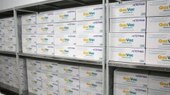По 3000 двухкомпонентных доз вакцины QazVac поступило в Нур-Султан и Алматы