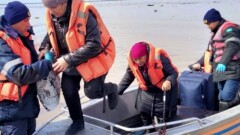 Паводки в Казахстане: главное к утру 16 апреля