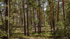 Какую технику приобретут для "Семей орманы" на благотворительные деньги