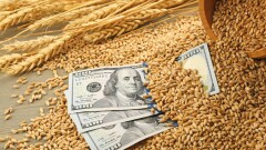 Северная Африка и ЕС: Казахстан осваивает новые рынки экспорта зерновых