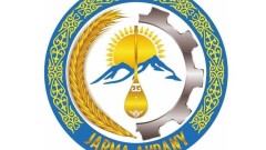 Район Абайской области не стал отказываться от логотипа со скачанным из интернета изображением гор