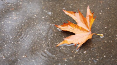 Дожди с грозами ожидаются в Казахстане в выходные дни