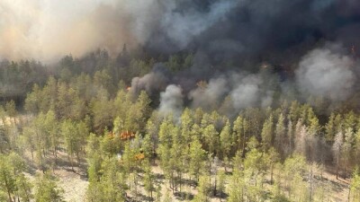 В Абайской области снова горит лес