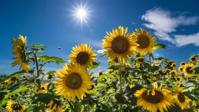 Ясные и жаркие дни прогнозируют синоптики на большей части Казахстана