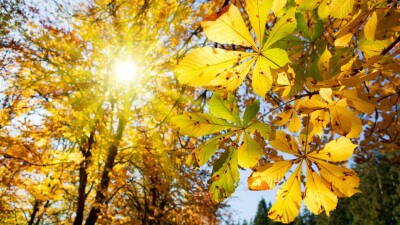 В каких регионах Казахстана потеплеет на выходных