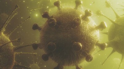 Штаммы коронавируса обозначат буквами греческого алфавита, чтобы избежать дискриминации стран, где их обнаружили