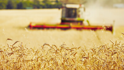 Минсельхоз считает преувеличенным заявление депутата Смирновой о неэффективности и иждивении АПК