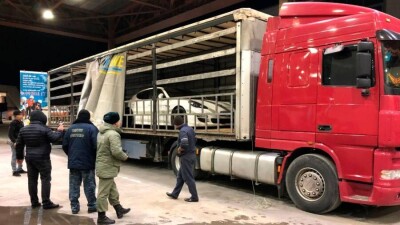 Легковые иномарки пытались незаконно ввезти в Казахстан из Узбекистана